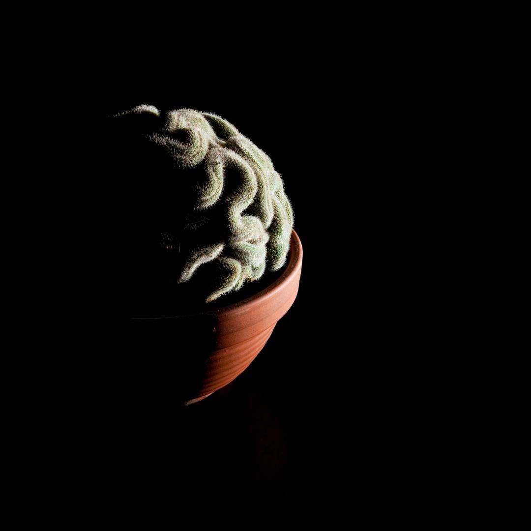 Zakład Psychologii Klinicznej i Zdrowia Uniwersytet SWPS